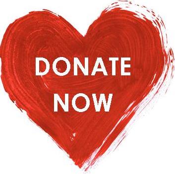 donate now heart
